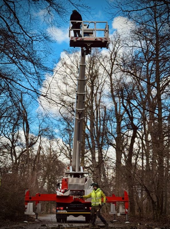Hubarbeitsbühne – Treesixty Baumpflege