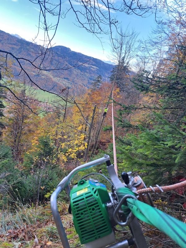 Arbeiten am Steilhang – Treesixty Baumpflege