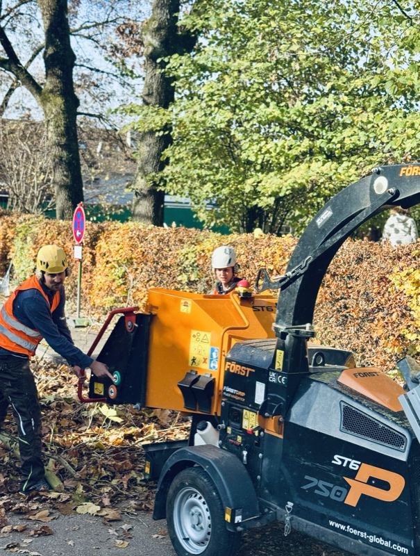 Häcksler im Herbstlaub – Treesixty Baumpflege