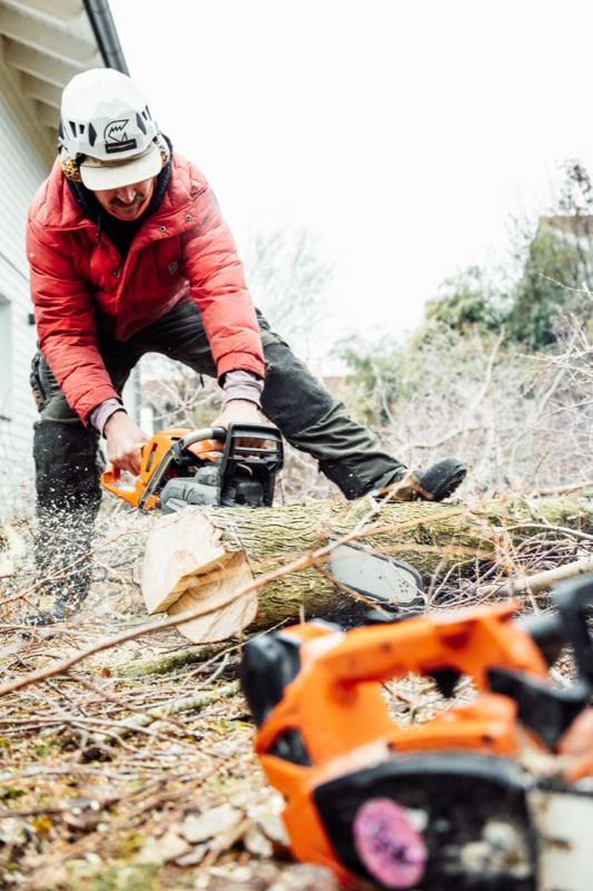 Sägearbeiten am Boden – Treesixty Baumpflege
