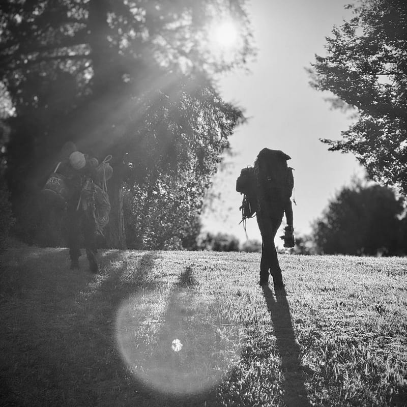 Anfrage an Treesixty Baumpflege